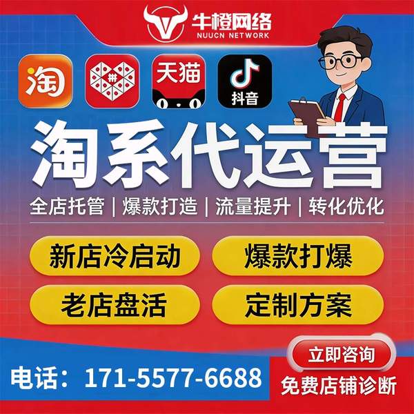 鸡西电商代运营