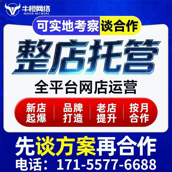 鸡西电商代运营
