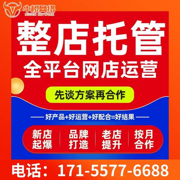 鸡西电商代运营