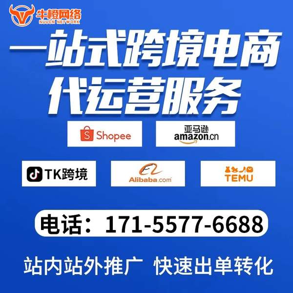 鸡西电商代运营