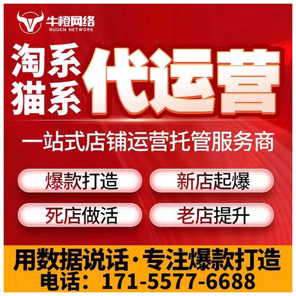 鸡西电商代运营